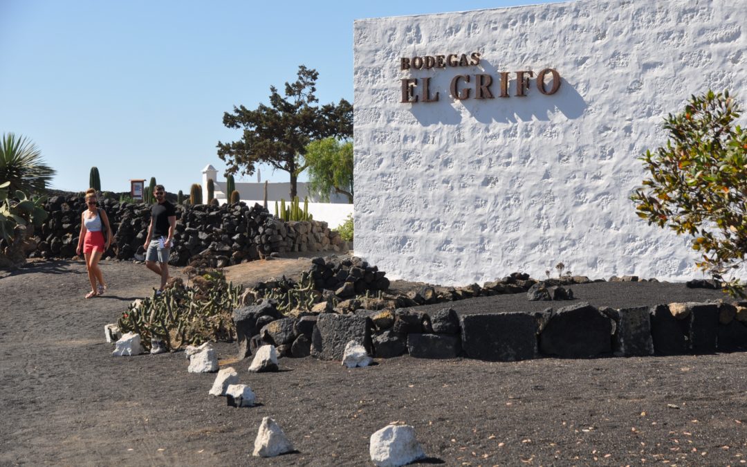 Explorando la Tradición Vinícola en Lanzarote: Bodega El Grifo, la Más Antigua de Canarias