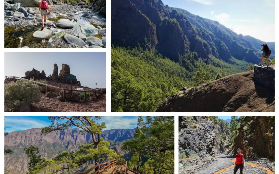 Caldera de Taburiente: Hiking Trails for All Levels